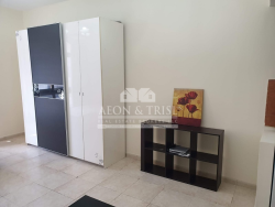 2BR Apartment for Rent in Green Lakes 1 Jumeirah Lake Towers